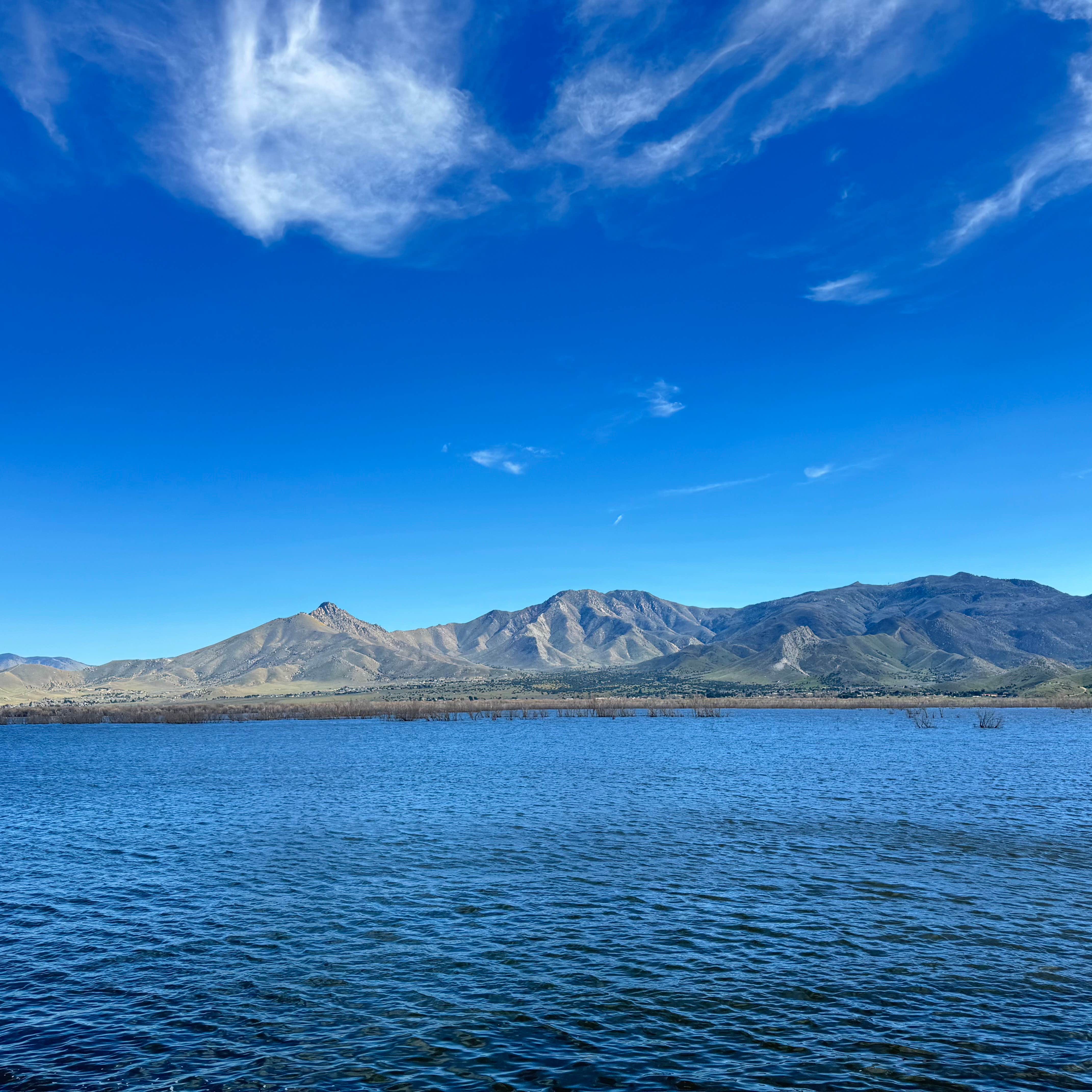 Shyam R.'s photo of a dispersed camping area at Hanning Flat Dispersed Area near Bakersfield, CA