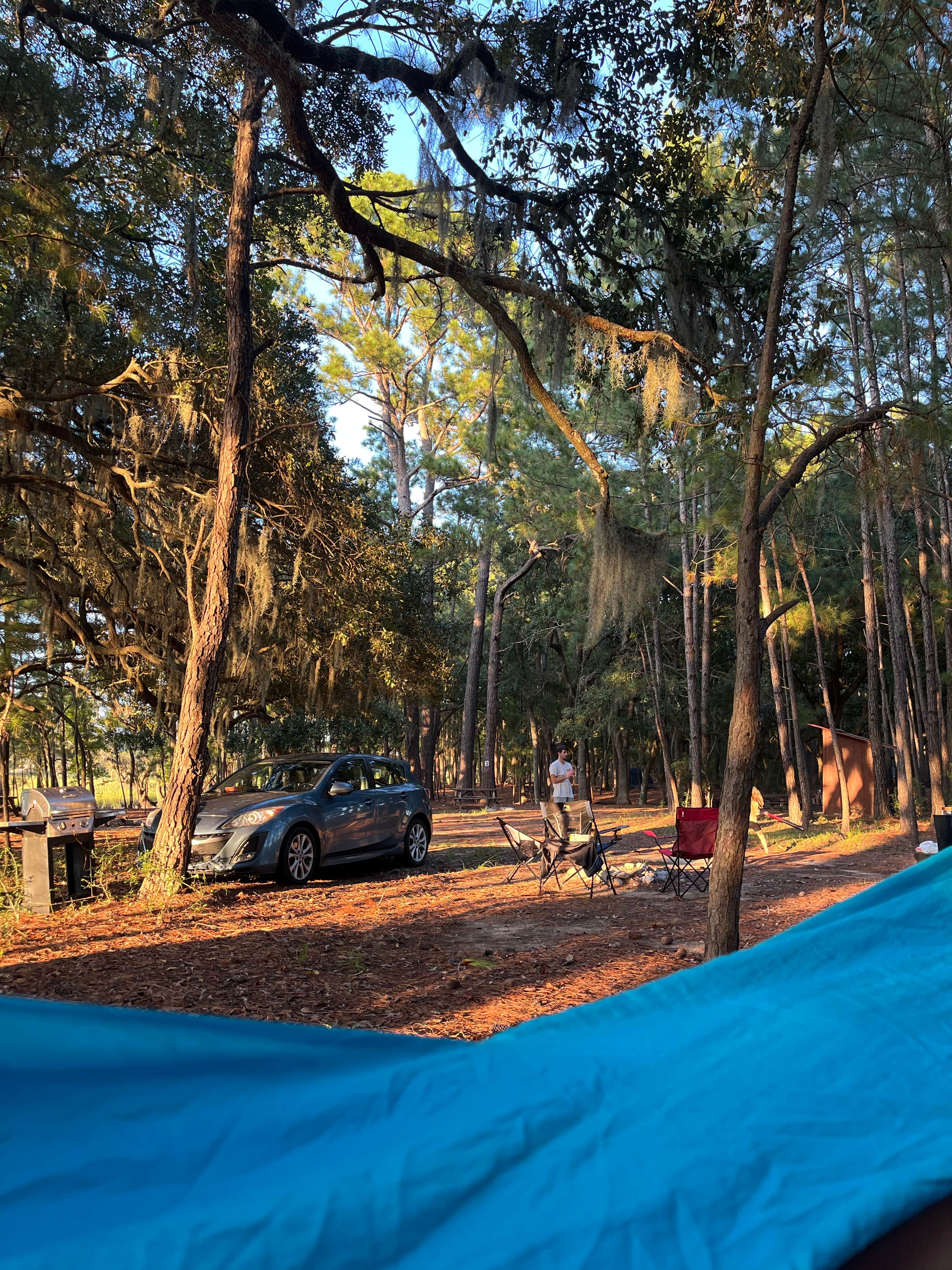 karen C.'s photo at Hanscombe Point Campground near Folly Beach, SC