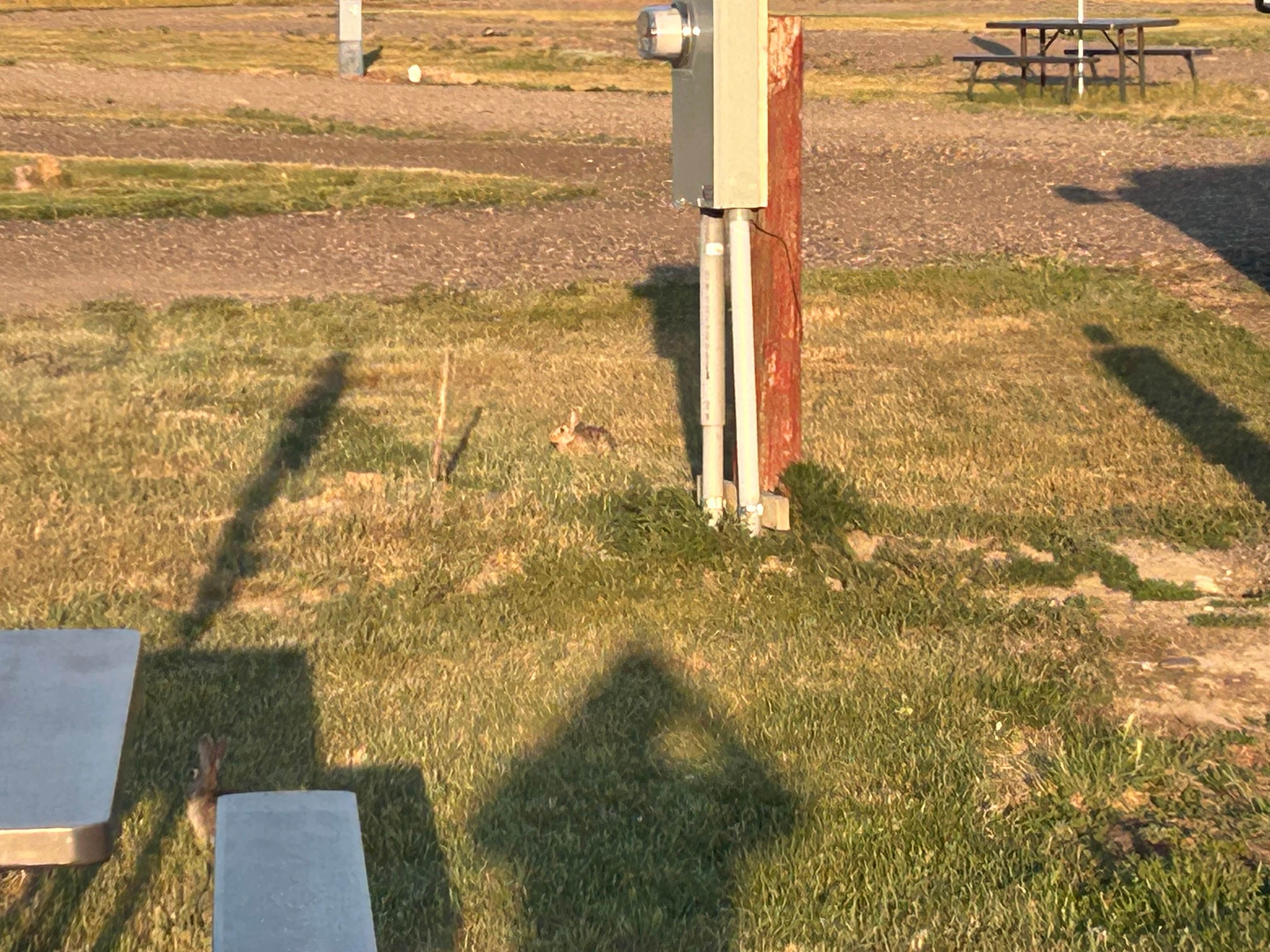 Camper-submitted photo at Hansen Family Campground & Storage near Box Elder, MT