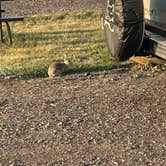 Review photo of Hansen Family Campground & Storage by Scott K., July 22, 2025