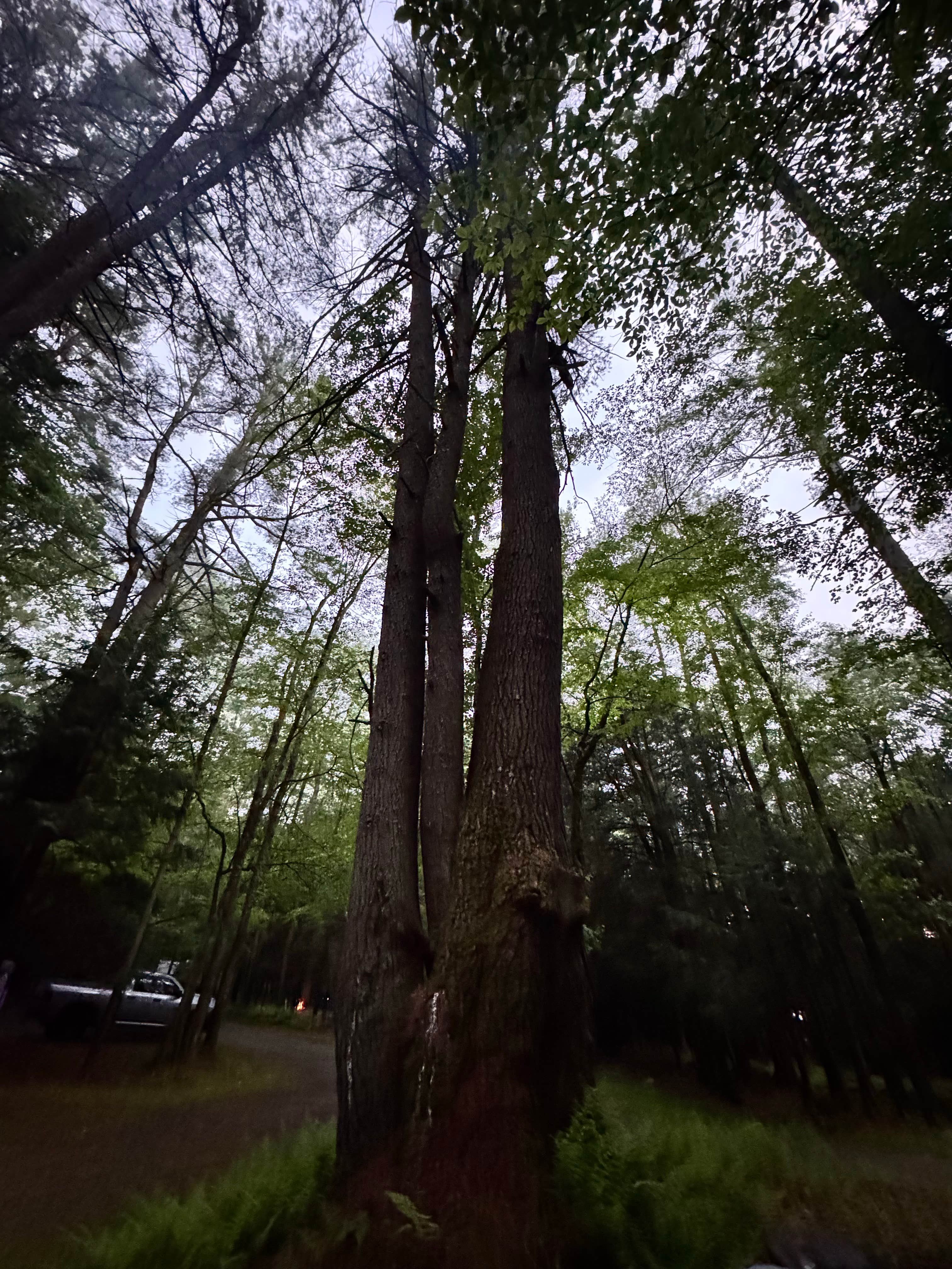 Camper-submitted photo at Happy Days Campground near Upper Delaware National Scenic and Recreation River