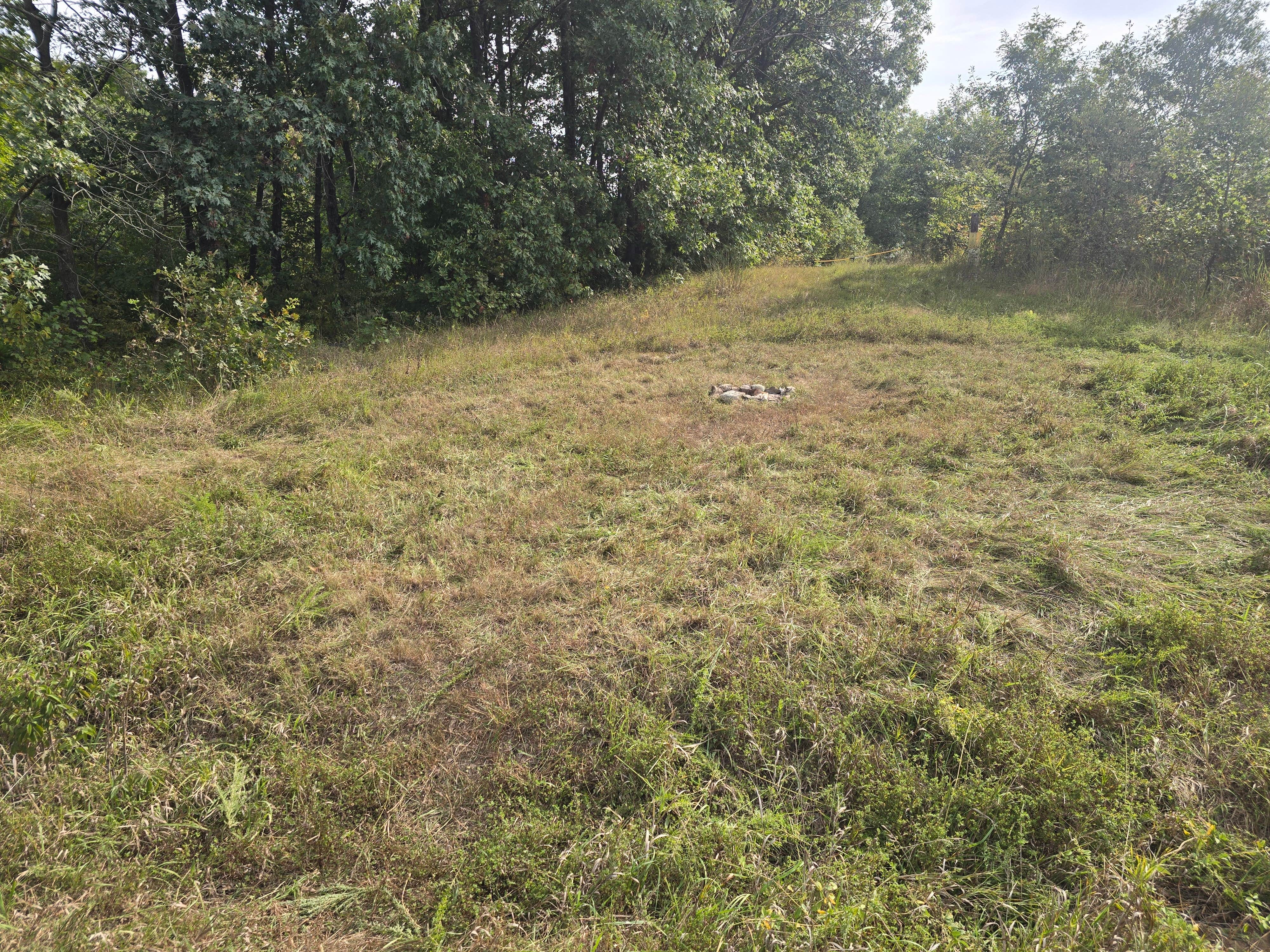 Camper-submitted photo at Happy Holler Conservation Area South near Amazonia, MO