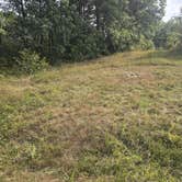 Review photo of Happy Holler Conservation Area South by Sayler O., September 19, 2025