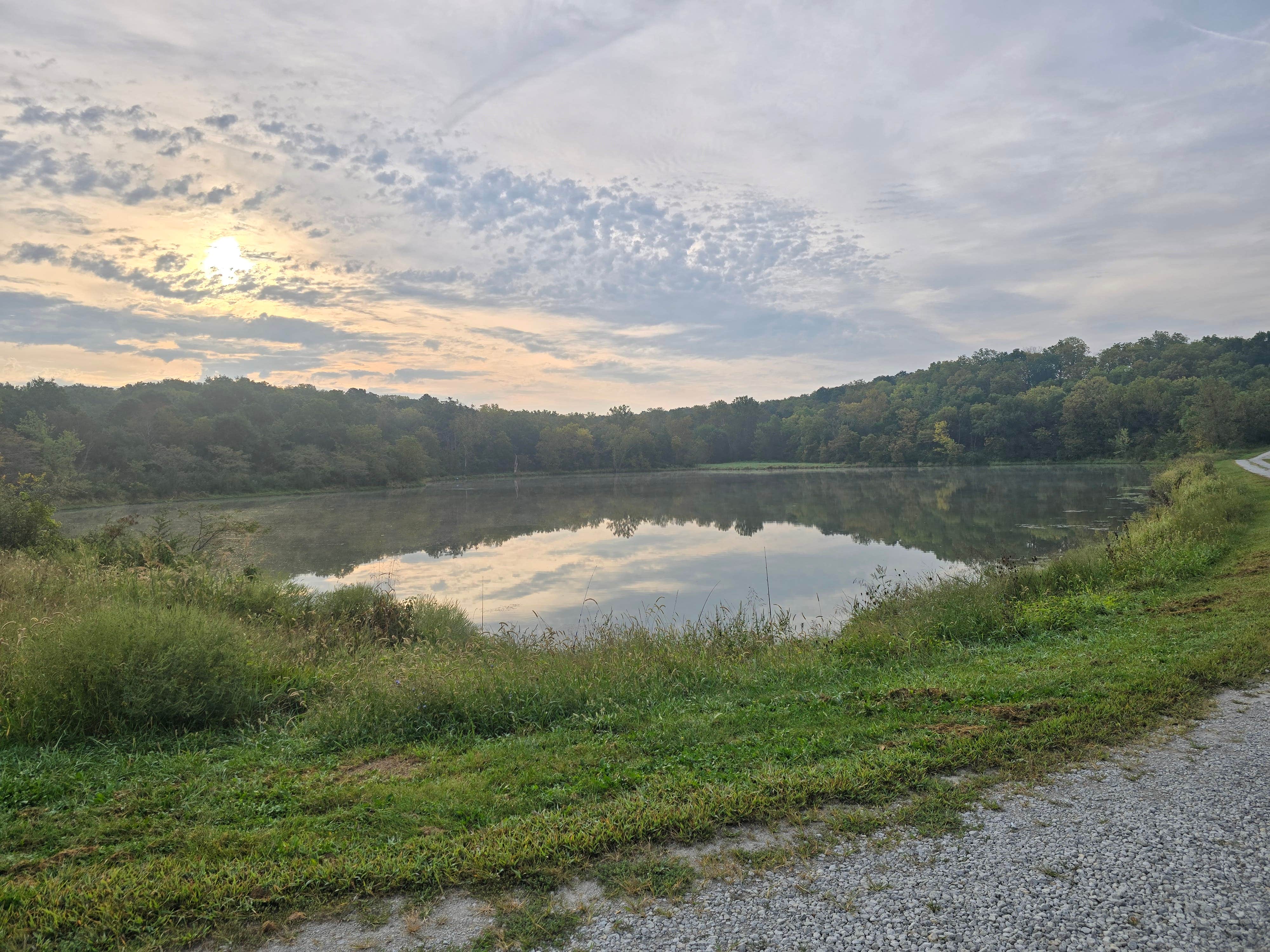 Camper submitted image from Happy Holler Conservation Area South - 5