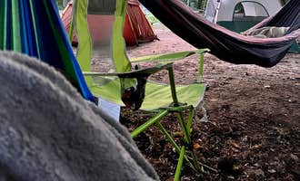 Camping near Daisy Field Campground — Potawatomi State Park: Harbour Village Resort, Egg Harbor, Wisconsin