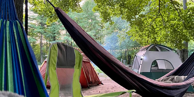 Camper submitted image from Harbour Village Resort