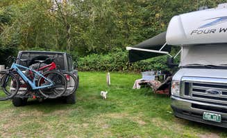Margaret T.'s photo of camping with pets at Hard Rain Cafe & RV Park near Olympic National Park