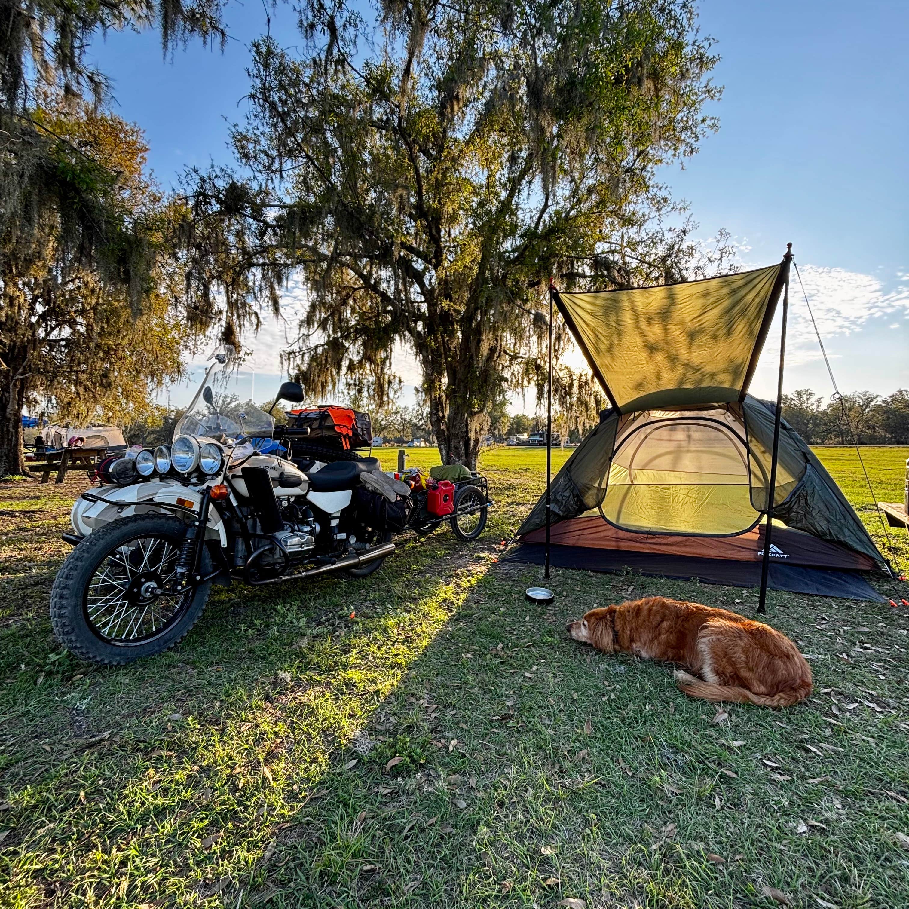 Camper-submitted photo at Hardee Lakes Park near Elkton, FL