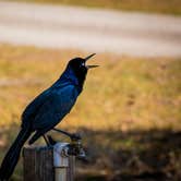 Review photo of Hardee Lakes Park by Ryan L., April 26, 2025
