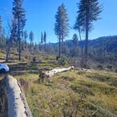 Review photo of Hardin Flat Road by Kevin C., January 13, 2026