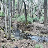 Review photo of Hardin Flat Road by Richard R., January 20, 2026