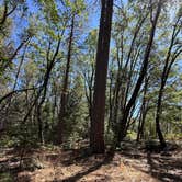Review photo of Hardin Flat Road by olivia V., August 3, 2026