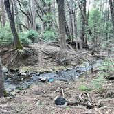 Review photo of Hardin Flat Road by Richard R., January 20, 2026