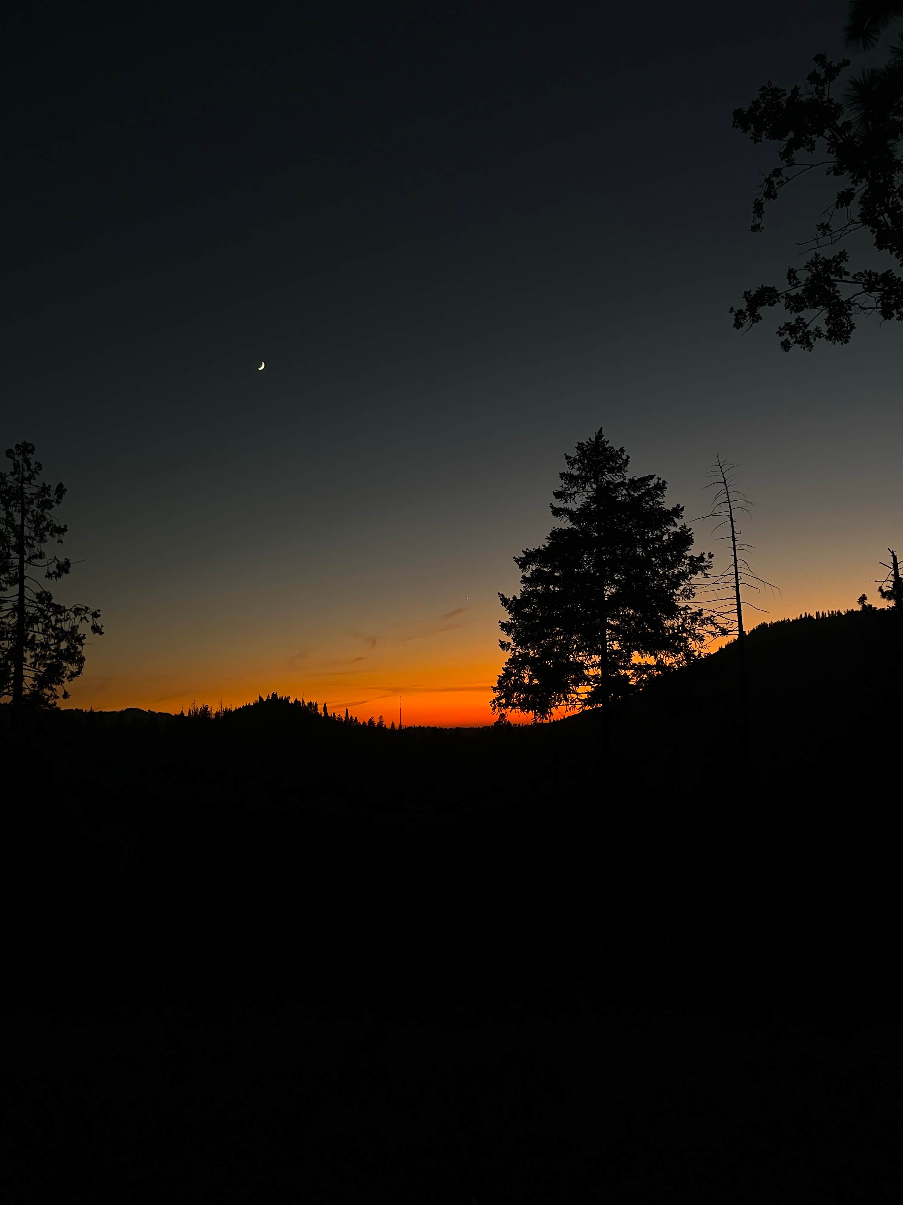 samuel C.'s photo of a dispersed camping area at Hardin Flat Road near Fort Jones, CA