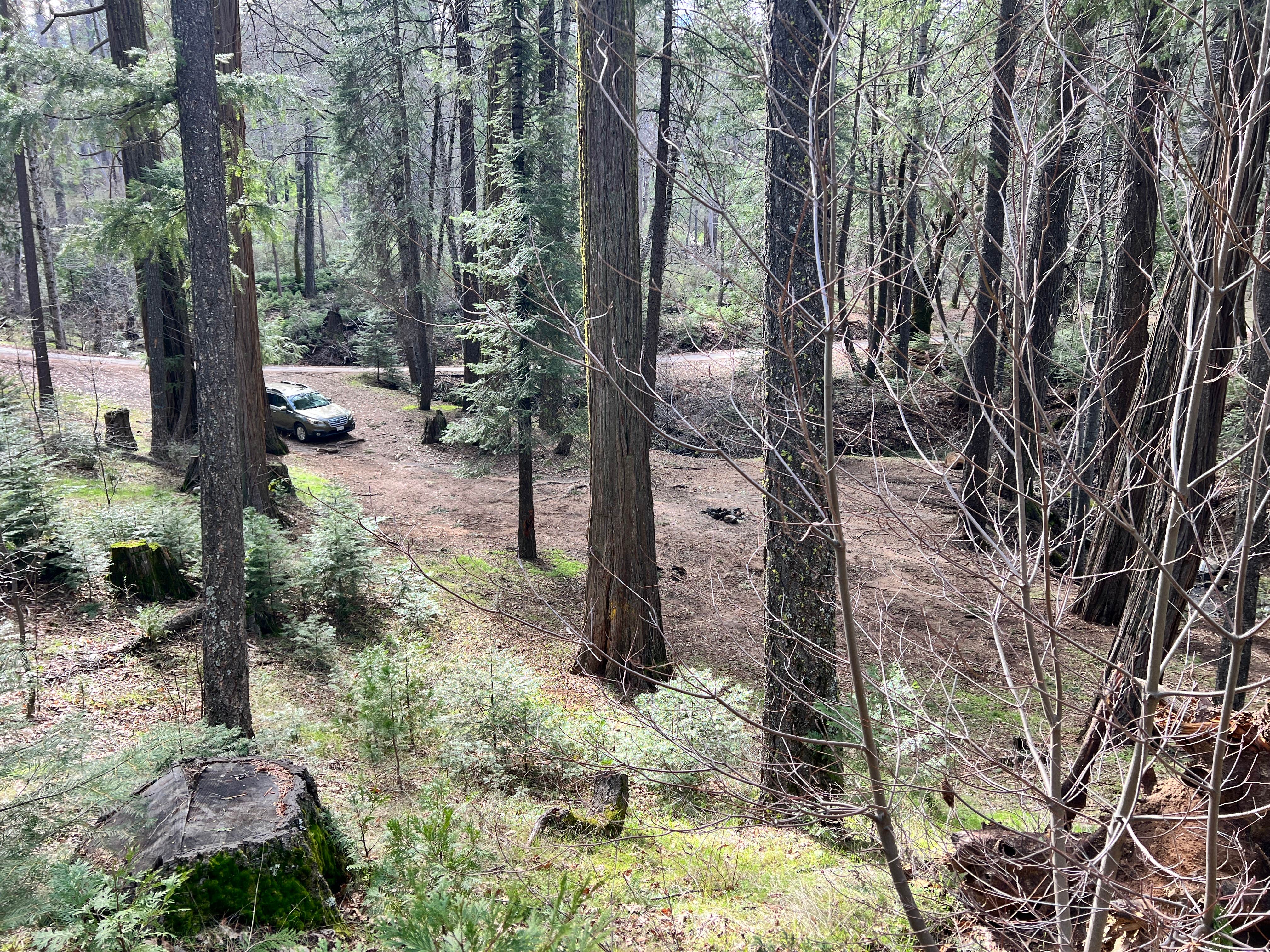 Camper-submitted photo at Hardin Flat Road near El Portal, CA