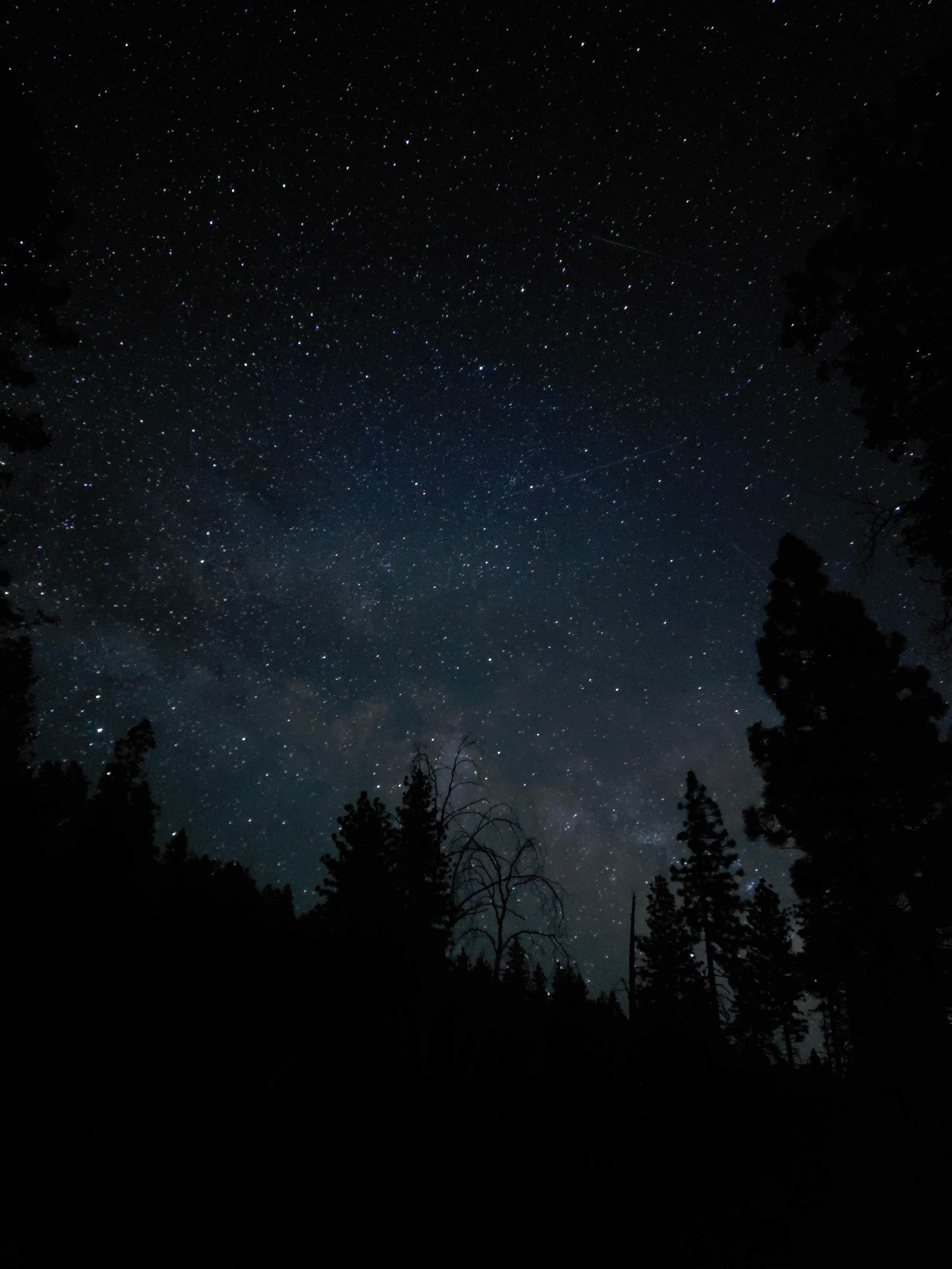 Camper-submitted photo at Hardin Flat Road near Angels, CA