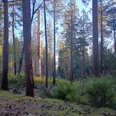 Review photo of Hardin Flat Road by Vahste (., May 26, 2026