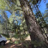Review photo of Hardin Flat Road by olivia V., August 3, 2026