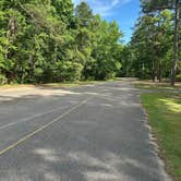 Review photo of Hardridge Creek Campground by Andrew H., April 20, 2026