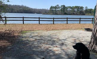 Elizabeth E.'s photo of camping with pets at Hardridge Creek Campground near Blakely, GA