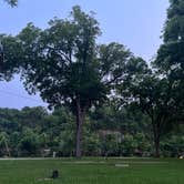 Review photo of Hardy Camper Park by Stephanie T., June 1, 2025