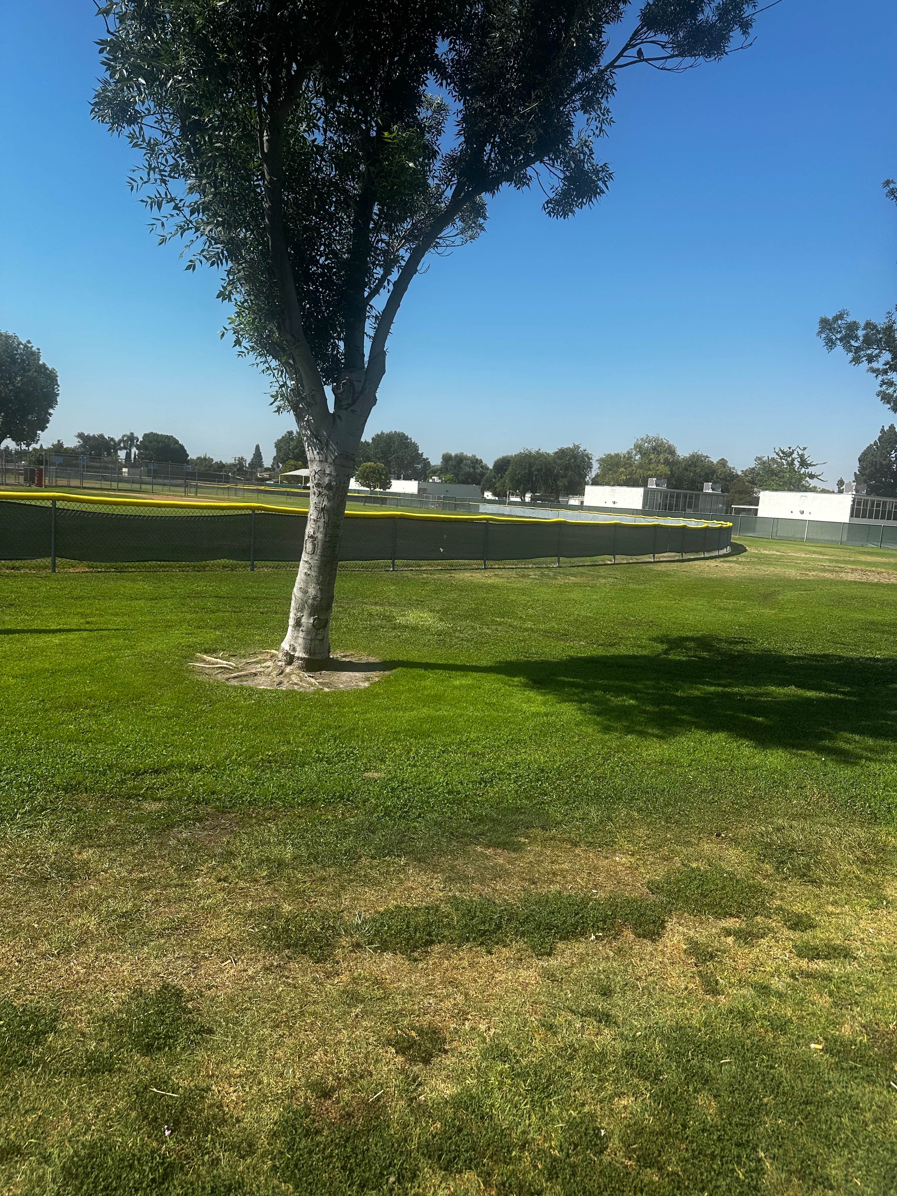 Camper-submitted photo at Hare School Park near Villa Park, CA
