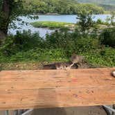 Review photo of Harpers Ferry Campground - River Riders by ERIC J., September 6, 2025