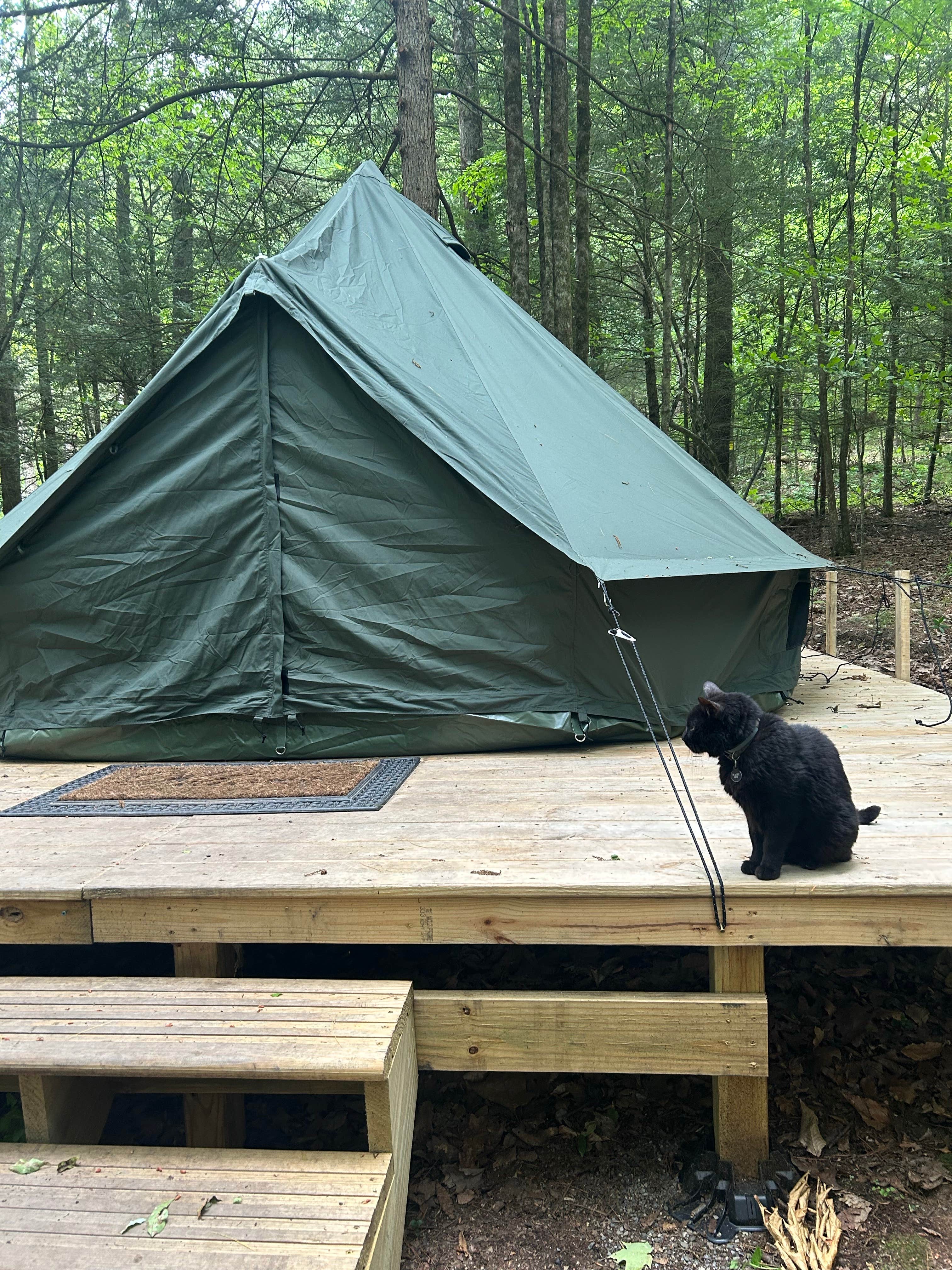 Camper-submitted photo at Harpy Hollow near Ithaca, NY