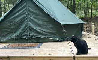 Sienna L.'s photo of camping with pets at Harpy Hollow near Hector, NY