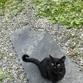 Review photo of Harpy Hollow by Sienna L., July 22, 2025