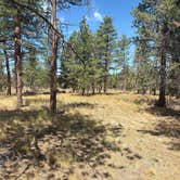 Review photo of Harrington Loop Rd - Dispersed by Jesse E., June 20, 2026