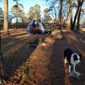 Review photo of Harris Brake Lake by Holly J., February 19, 2024