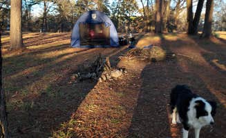 Holly J.'s photo at Harris Brake Lake near Maumelle, AR
