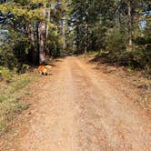 Review photo of Harris Brake Lake by Kylee R., October 19, 2026
