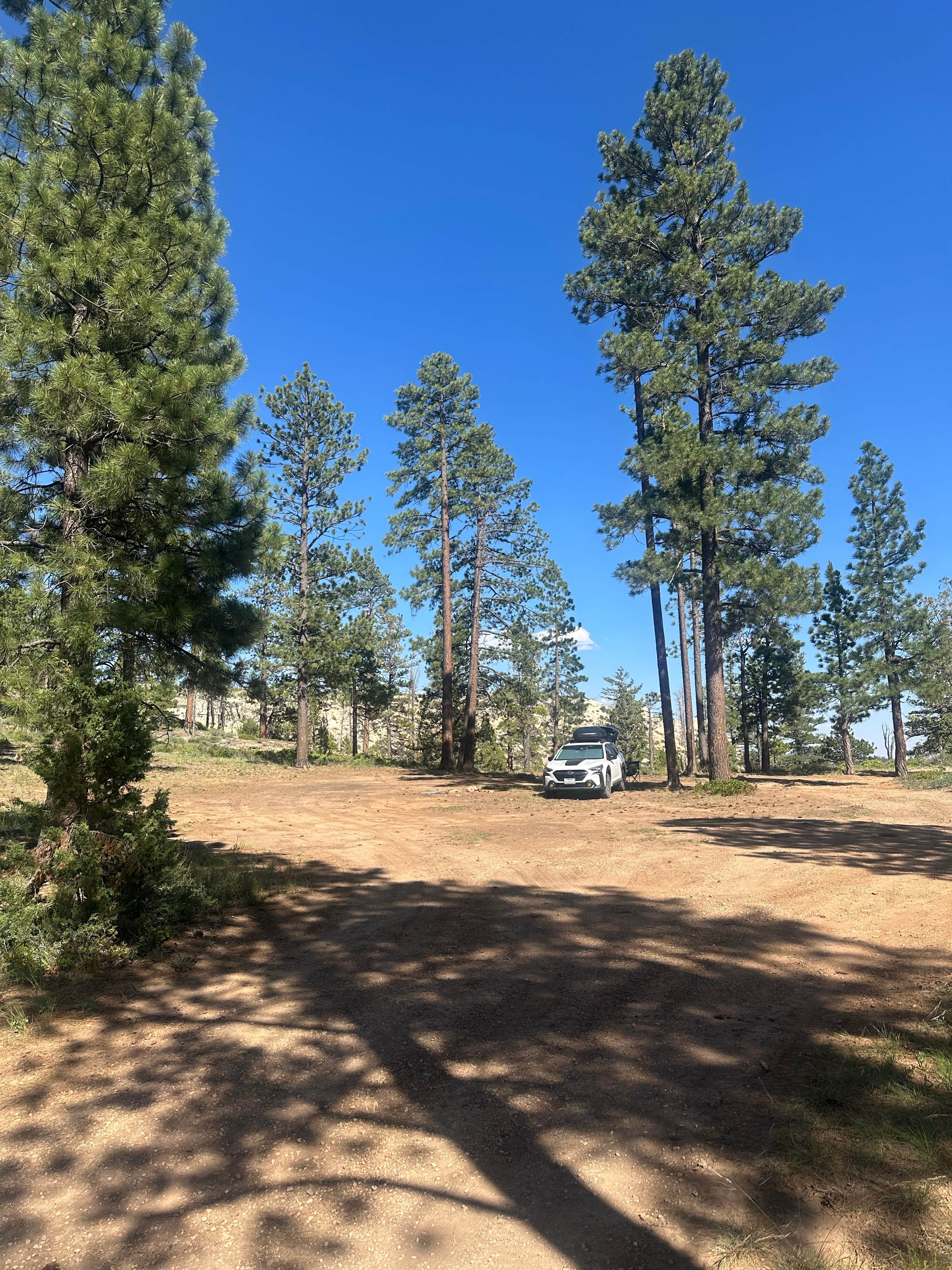 Camper-submitted photo at Harris Rim & Stout Canyon Dispersed near Parowan, UT