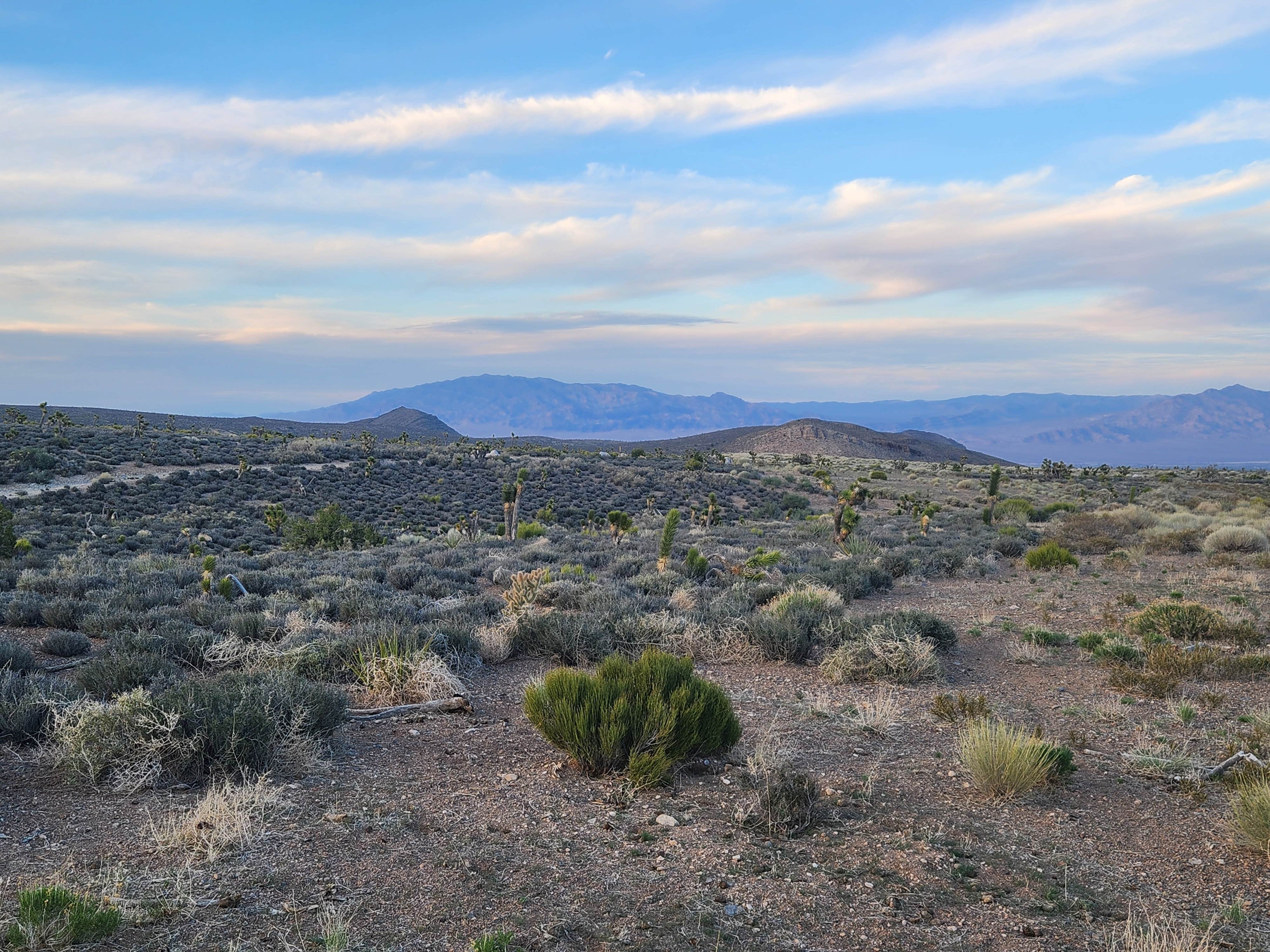 Camper-submitted photo at Harris Springs / Spring Mountains Dispersed near Las Vegas, NV