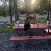 Review photo of Harrisonburg - Shenandoah Valley KOA by kayla A., May 30, 2026