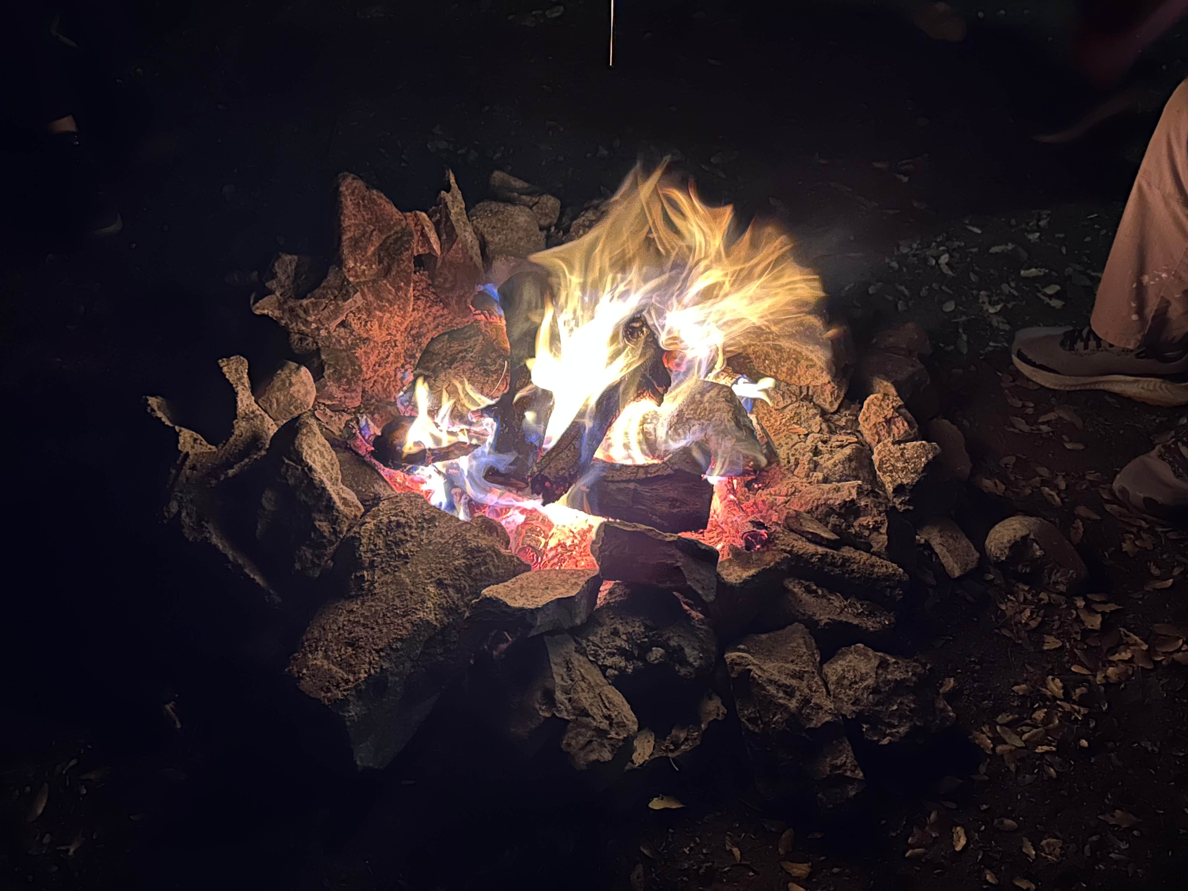 Camper submitted image from Harshaw Ave - Coronado National Forest - 1