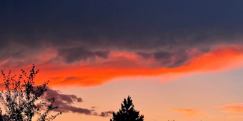 Camper submitted image from Hart Ranch Camping Resort