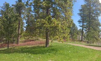 Camping near Reuter Campground: Hartman Rock Dispersed Site, Sundance, Wyoming