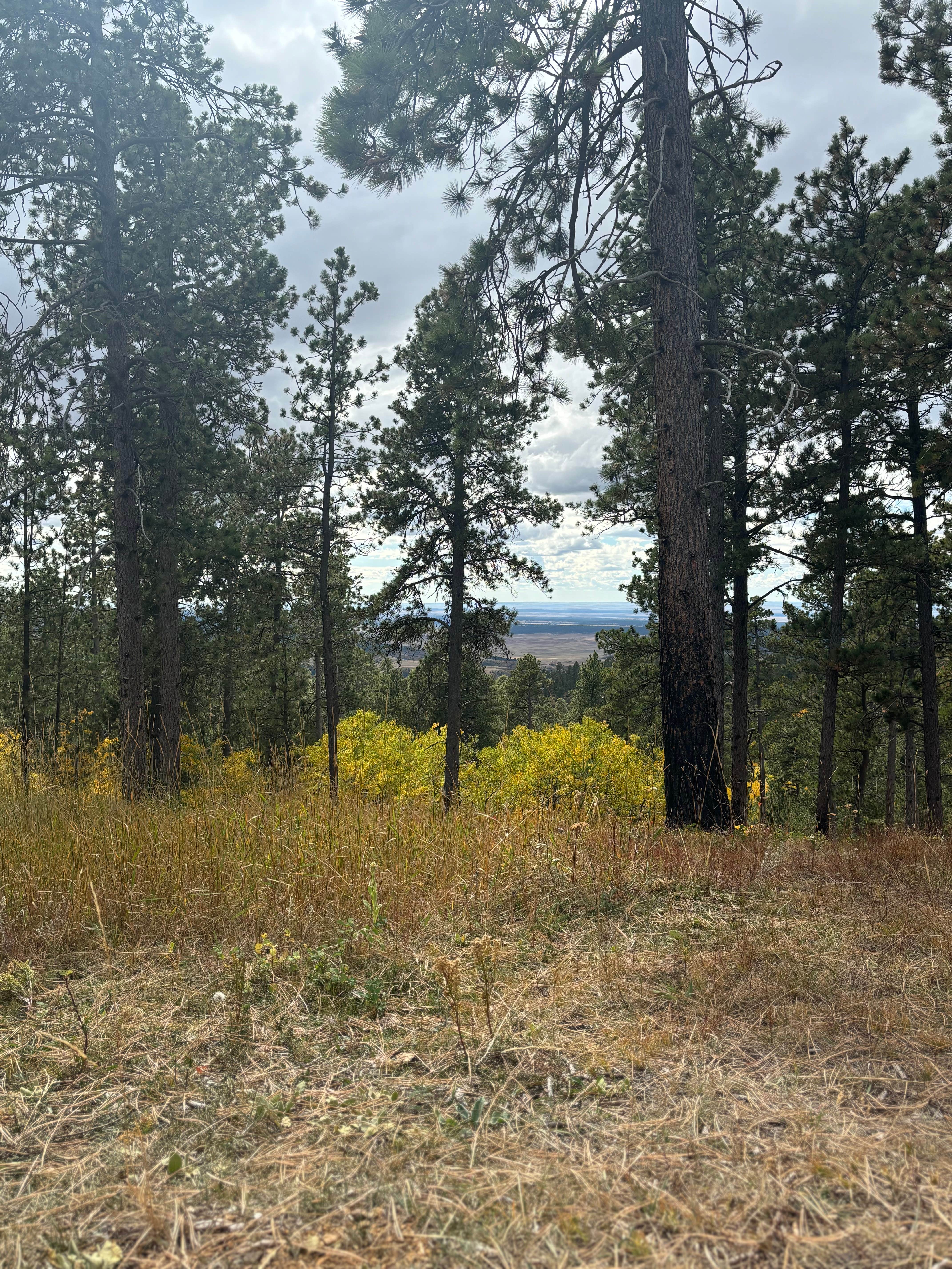 Camper-submitted photo at Hartman Rock Dispersed Site near Devils Tower National Monument