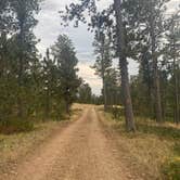 Review photo of Hartman Rock Dispersed Site by ellen , September 11, 2024