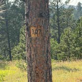 Review photo of Hartman Rock Dispersed Site by Justin O., August 1, 2026