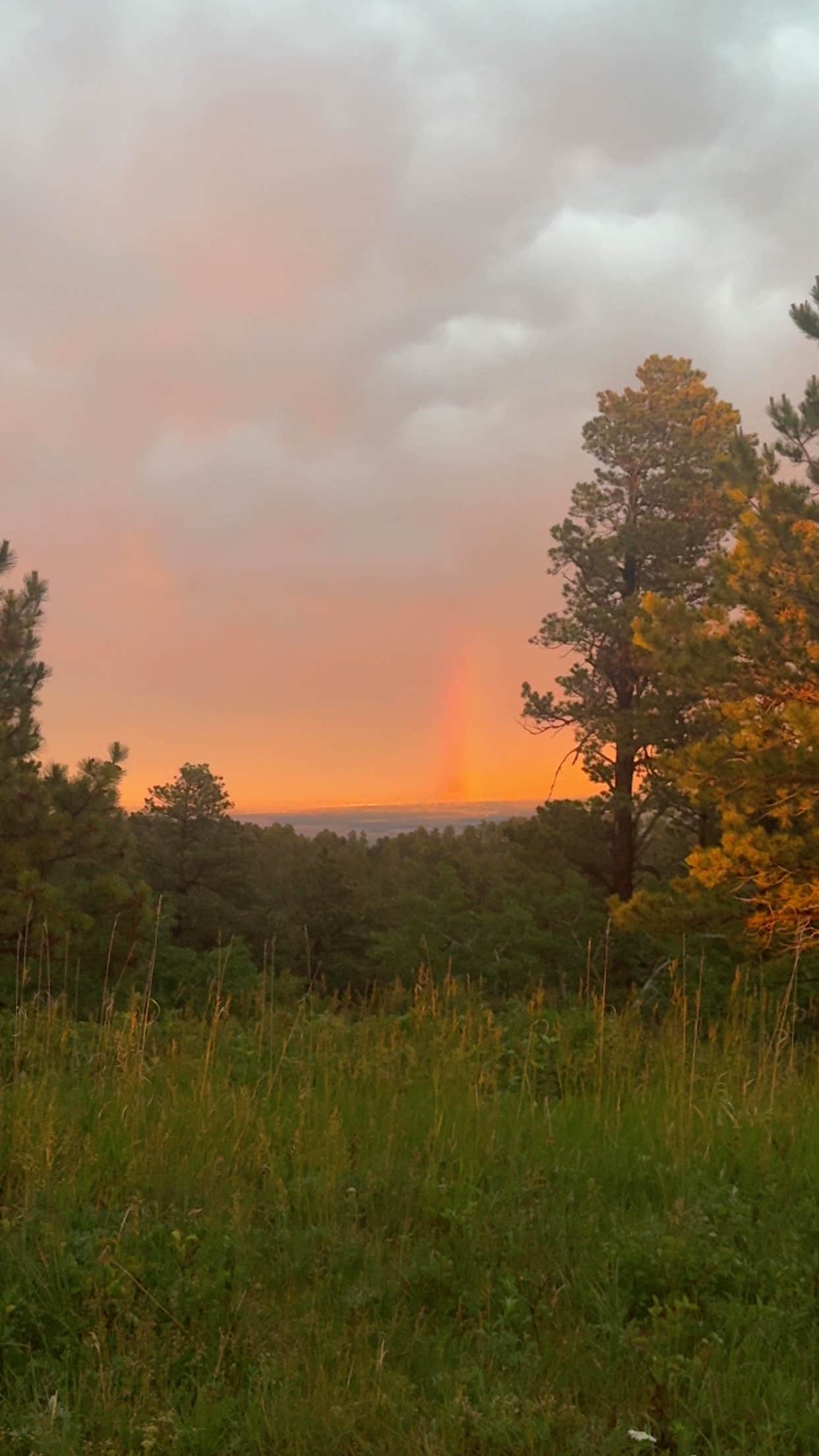 Camper-submitted photo at Hartman Rock Dispersed Site near Devils Tower National Monument
