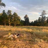Review photo of Hartman Rock Dispersed Site by ellen , July 28, 2026