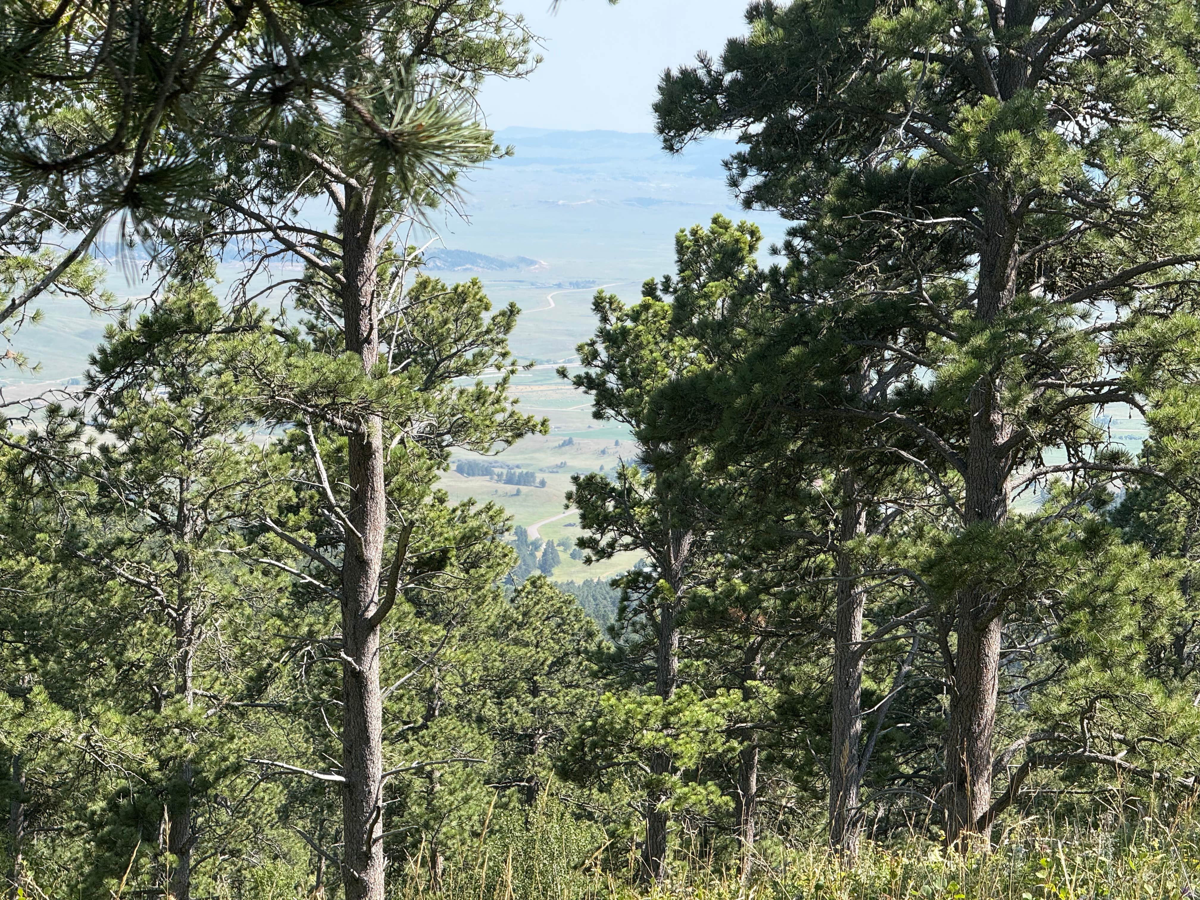 Camper-submitted photo at Hartman Rock Dispersed Site near Devils Tower National Monument