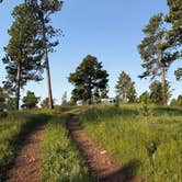 Review photo of Hartman Rock Dispersed Site by Rebecca B., July 4, 2026