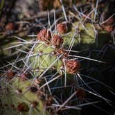 Review photo of Hartman Rocks Recreation Area by Chenoa B., May 20, 2026