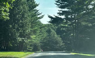 Jennifer H.'s photo of camping with pets at Hartwick Highlands Campground near South Plymouth, NY