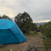 Review photo of Harvey Gap BLM Dispersed by Liesl Y., April 27, 2026
